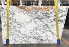 Fornitura lastre grezze 2 cm in marmo ARABESCATO CORCHIA 1787M. Dettaglio immagine fotografie 