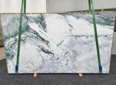 Fornitura lastre grezze 2 cm in marmo BRECCIA CAPRAIA TORQUOISE 1637. Dettaglio immagine fotografie 