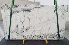 Fornitura lastre grezze 0.8 cm in marmo BRECCIA CAPRAIA 1251. Dettaglio immagine fotografie 