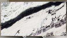 Fornitura lastre grezze 2 cm in marmo breccia capraia 1675. Dettaglio immagine fotografie 