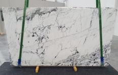 Fornitura lastre grezze lucide 2 cm in marmo naturale BRECCIA CAPRAIA 1251. Dettaglio immagine fotografie 