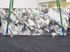 Fornitura lastre grezze lucide 2 cm in marmo naturale BRECCIA CAPRAIA xx1719. Dettaglio immagine fotografie 