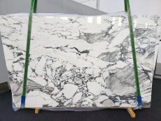 Fornitura lastre grezze lucide 2 cm in marmo naturale CALACATTA CORCHIA 1660. Dettaglio immagine fotografie 
