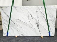 Fornitura lastre grezze lucide 2 cm in marmo naturale CALACATTA EXTRA 1614. Dettaglio immagine fotografie 