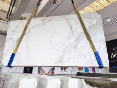 Fornitura lastre grezze 2 cm in marmo CALACATTA ORO EXTRA CL0260. Dettaglio immagine fotografie 