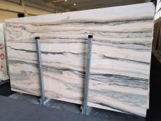 Fornitura lastre grezze 2 cm in marmo CALACATTA SAINT TROPEZ A0128. Dettaglio immagine fotografie 