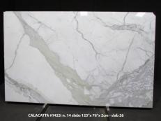 Fornitura lastre grezze lucide 2 cm in marmo naturale CALACATTA 1423M. Dettaglio immagine fotografie 