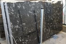 Fornitura lastre grezze 2 cm in marmo FOSSIL BLACK S0036. Dettaglio immagine fotografie 