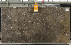 Fornitura lastre grezze lucide 2 cm in marmo naturale MARRON FOSSIL S0037. Dettaglio immagine fotografie 