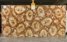 Fornitura lastre grezze lucide 2 cm in pietra semipreziosa naturale PETRIFIED WOOD BROWN TL0142. Dettaglio immagine fotografie 