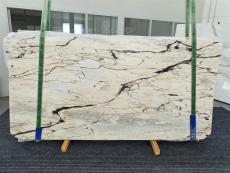 Fornitura lastre grezze lucide 2 cm in marmo naturale STATUARIO CORAL 1328. Dettaglio immagine fotografie 