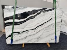 PANDA polierte Unmaßplatten 1335 aus Natur Marmor , Slab #41: Lieferung, Italien 