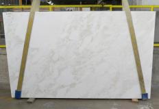 MYSTERY WHITE Fornitura (Italia) di lastre grezze lucide in marmo naturale 24915 , Bundle #01 - Slab #0 