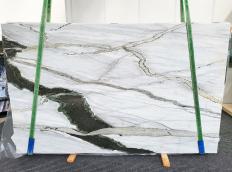NEW PANDA Fornitura (Italia) di lastre grezze lucide in marmo naturale 1742 , Slab #16 