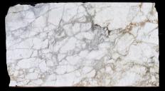 CALACATTA MONET Suministro (Italia) de planchas mates en mármol natural 1767 , Slab #111 
