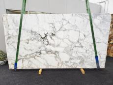 CALACATTA MONET Supply (Italy) honed slabs 1767 , Slab #101 natural marble 