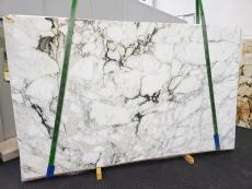 CALACATTA MONET Supply (Italy) honed slabs 1767 , Slab #35 natural marble 