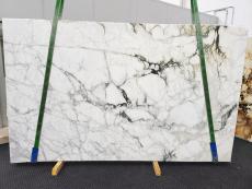 CALACATTA MONET Supply (Italy) honed slabs 1767 , Slab #28 natural marble 