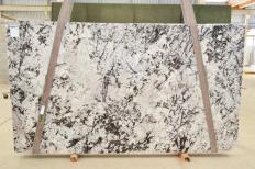Fornitura lastre grezze lucide 1.2 cm in granito naturale WHITE PERSIAN 2554. Dettaglio immagine fotografie 