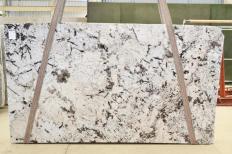 Fornitura lastre grezze lucide 3 cm in granito naturale WHITE PERSIAN 2555. Dettaglio immagine fotografie 