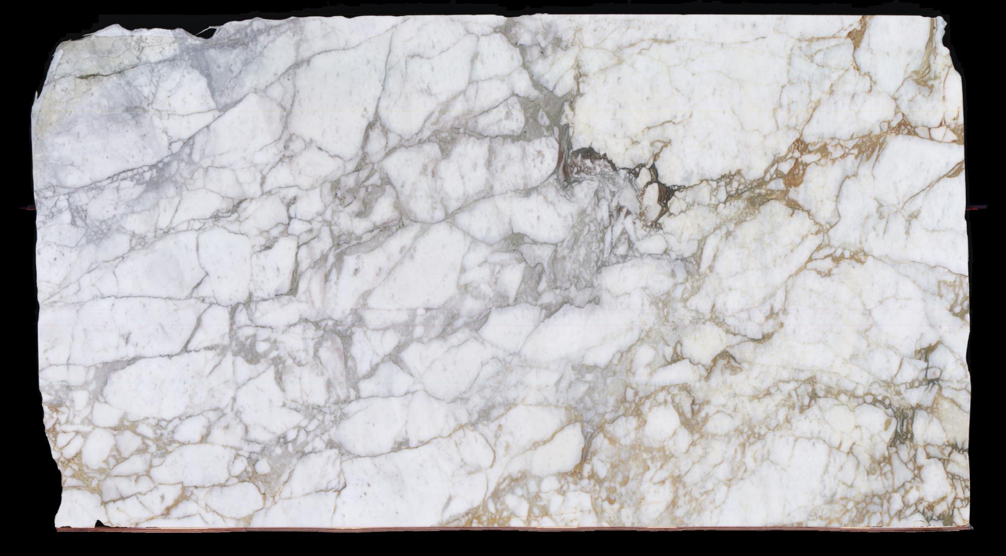 CALACATTA MONET Fornitura Veneto (Italia) di lastre grezze levigate in marmo naturale 1767 , Slab #111 