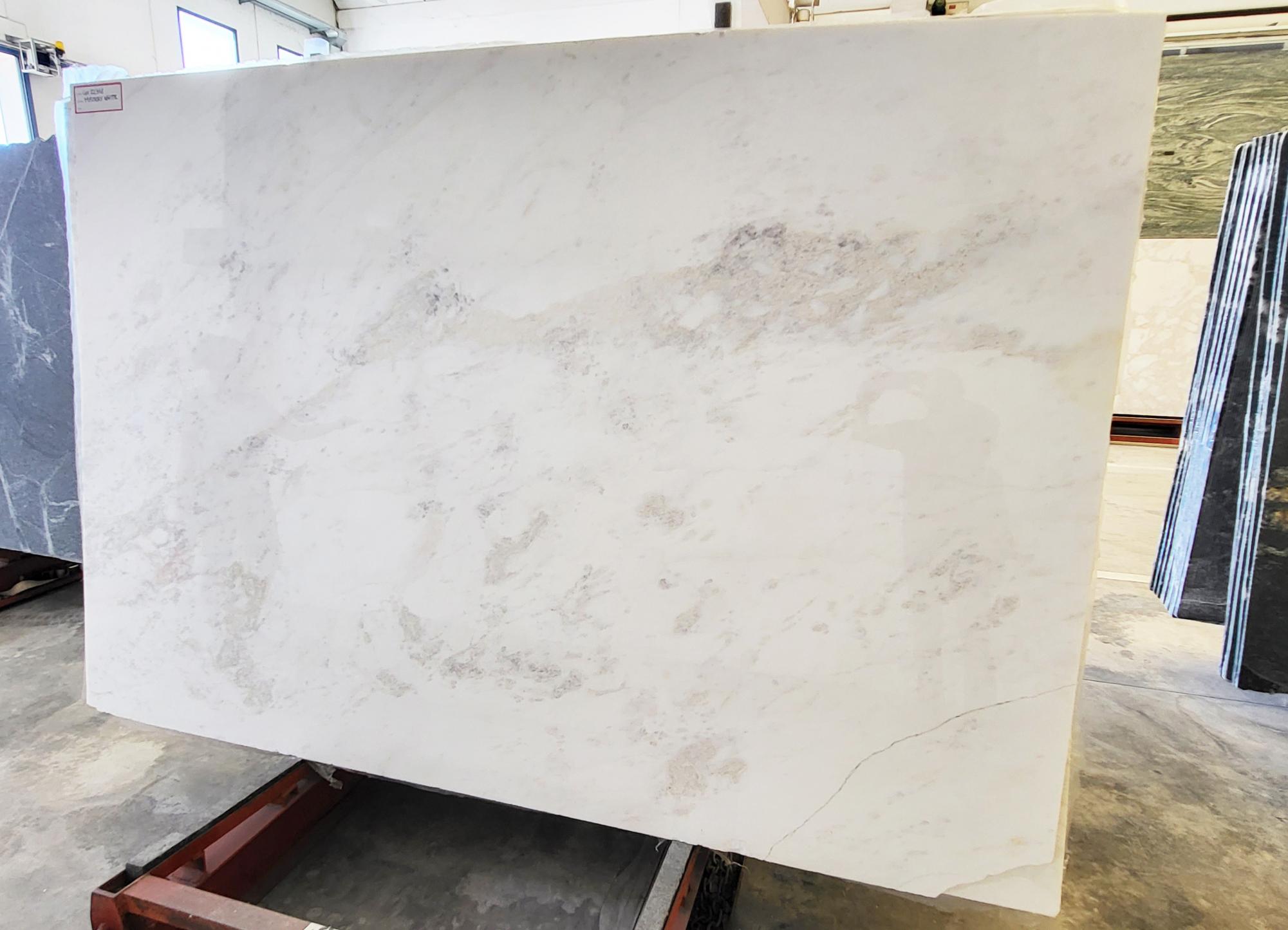 MYSTERY WHITE Fornitura Veneto (Italia) di lastre grezze lucide in marmo naturale 22318 , Slab #24 