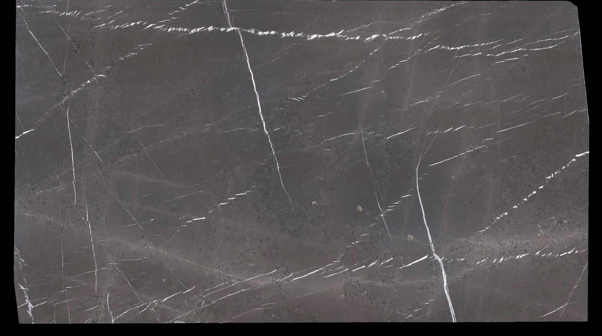 PIETRA GREY Fornitura Veneto (Italia) di lastre grezze spazzolate in marmo naturale 1723 , Slab #15 