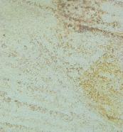 Scheda tecnica: ARENISCA DE REGUMIEL, arenaria naturale segata spagnola 
