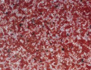Scheda tecnica: YINGJING RED, granito naturale lucido cinese 