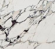 Scheda tecnica: BRECCIA CAPRAIA CLASSICA, marmo naturale lucido italiano 
