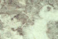 Scheda tecnica: FIOR DI PESCO CARNICO, marmo naturale lucido italiano 