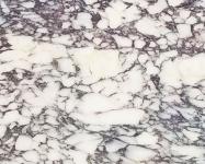 Scheda tecnica: Calacatta Viola, marmo naturale segato italiano 