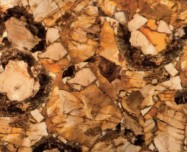 Scheda tecnica: PETRIFIED WOOD, pietra semipreziosa naturale lucida della Namibia 